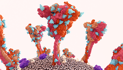 DNA/RNA Adductomics and Damage Analysis